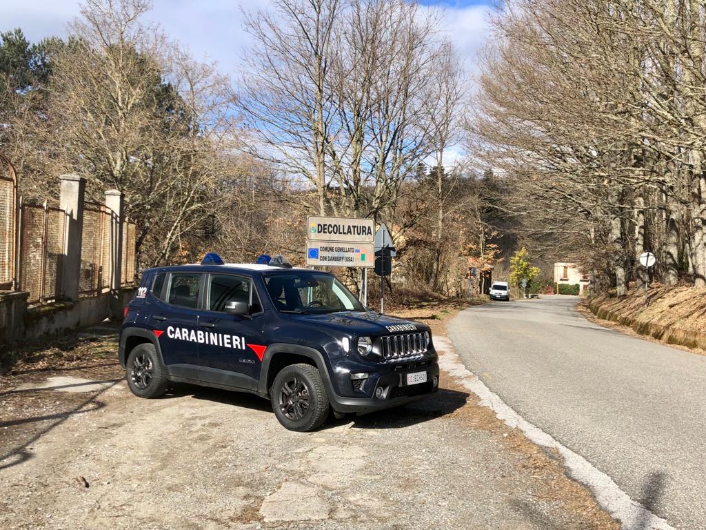 Decollatura. Controlli dei carabinieri sulla corretta detenzione degli animali domestici