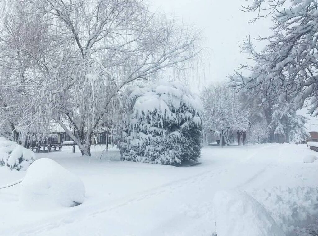 In Sila fino a 60 centimetri di neve sulle vette, imbiancati anche Pollino e Serre vibonesi