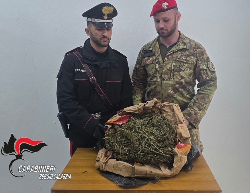 Roccaforte del Greco. Trovati 1,5Kg di marijuana in un casolare abbandonato