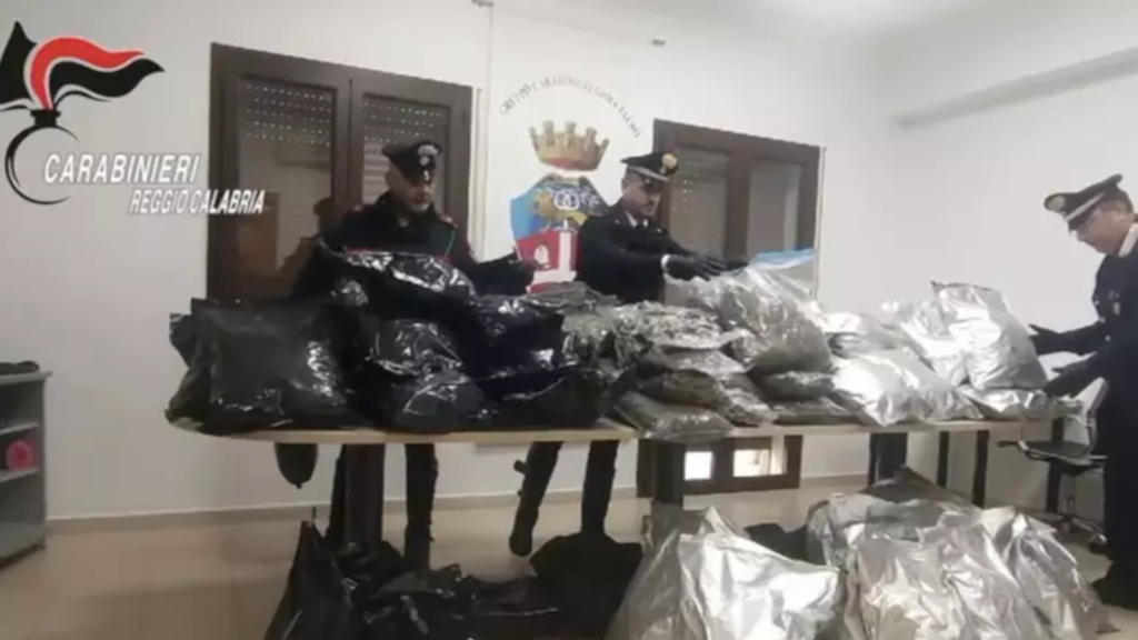 Gioia Tauro. Maxi Sequestro di droga e materiale esplosivo: un fermo